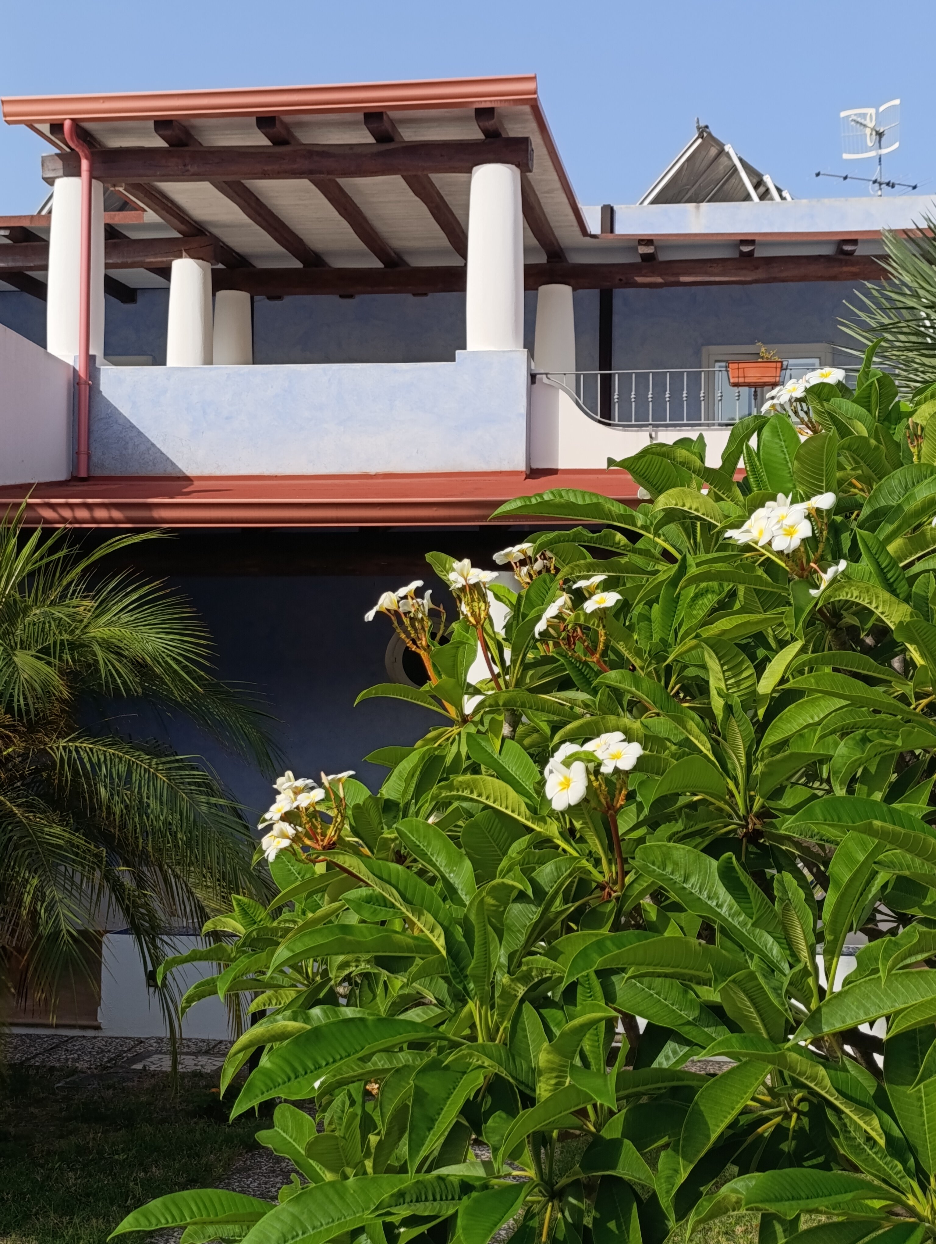 Hotel Bougainville-官方
