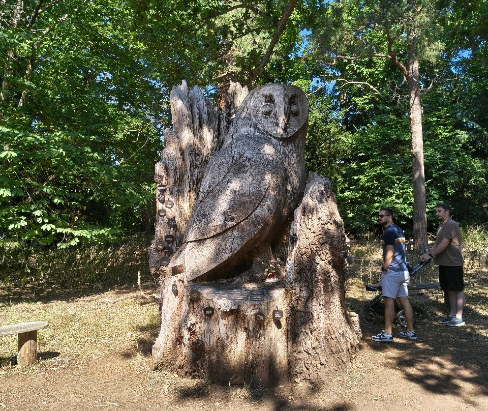 RSPB The Lodge Nature Reserve-Sandy必去景点