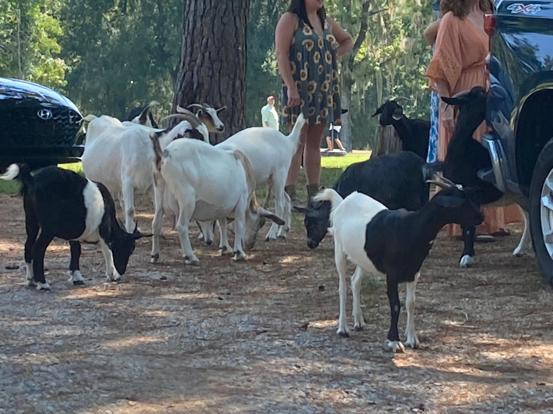 Jackson Lake Island-Millbrook必去景点
