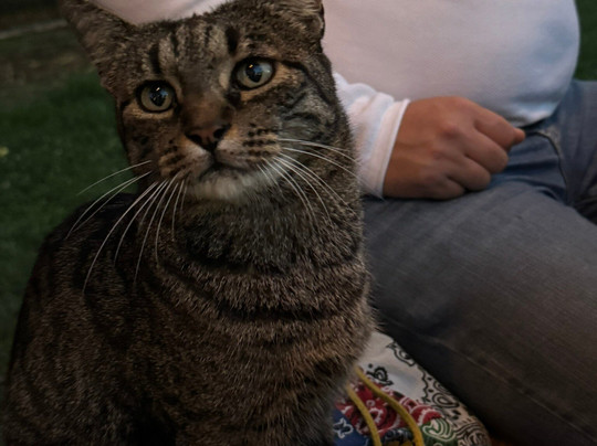 I Nani di Giada Az Agr-弗利必去景点