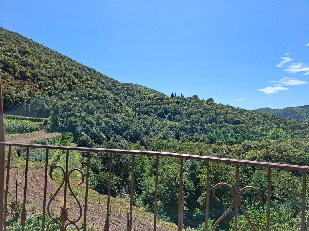 Auberge Du Mas De Daumet