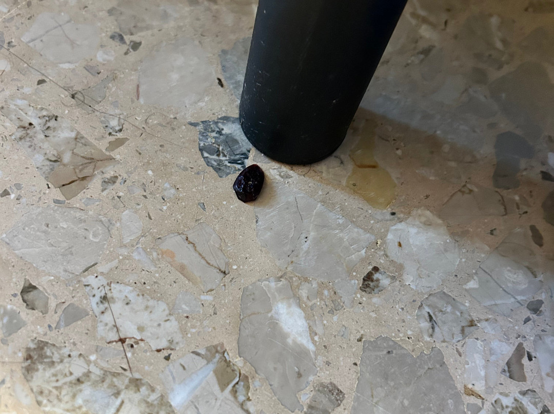 Hotel Ti Bionda Suisse主图