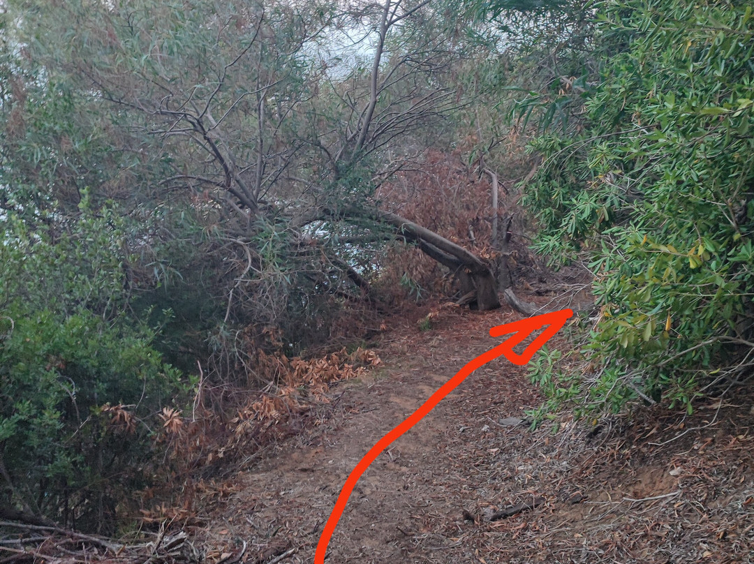 Baia del Buon Dormire-Faracchio必去景点