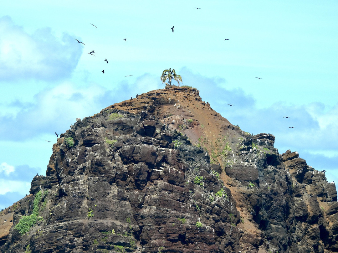 Experience Hawaii Tours-毛伊岛必去景点