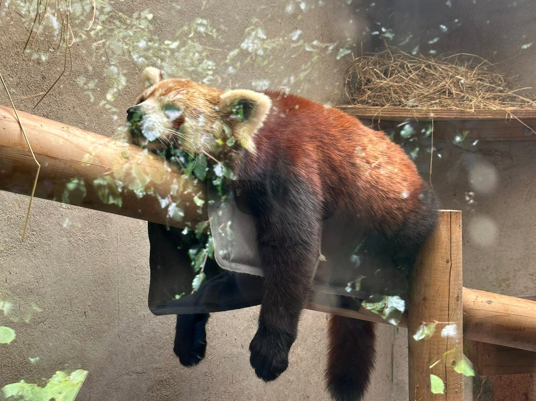 Exmoor Zoo-巴恩斯特珀尔必去景点