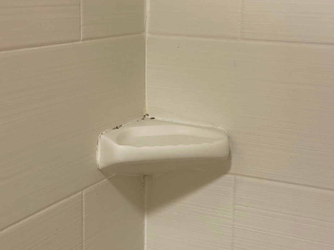 Holiday Inn Express & Suites Beeville by IHG主图