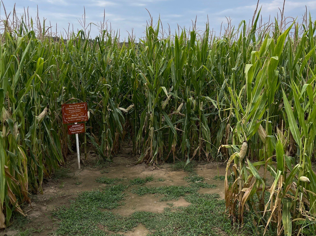 Le Labyrinthe de  l'Ermite-Domme必去景点