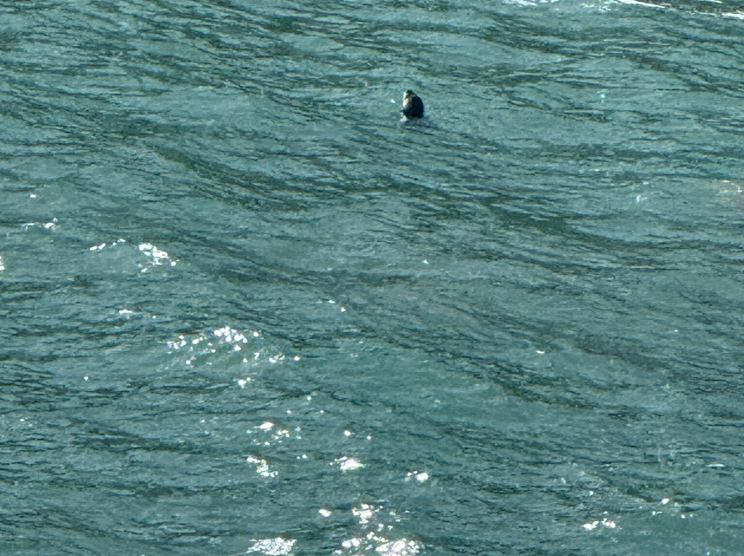 Lamorna Cove-Lamorna必去景点