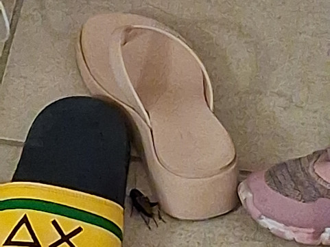 Residence Kamarina主图