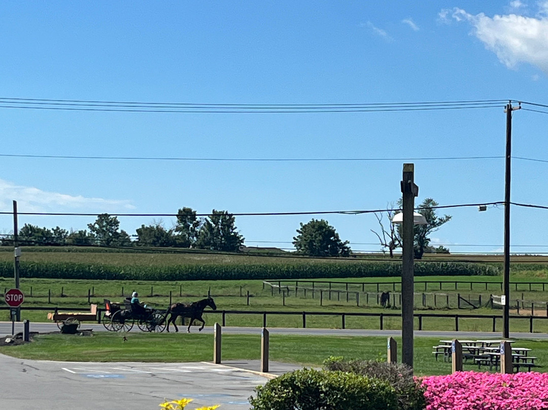 AmishView Inn & Suites主图