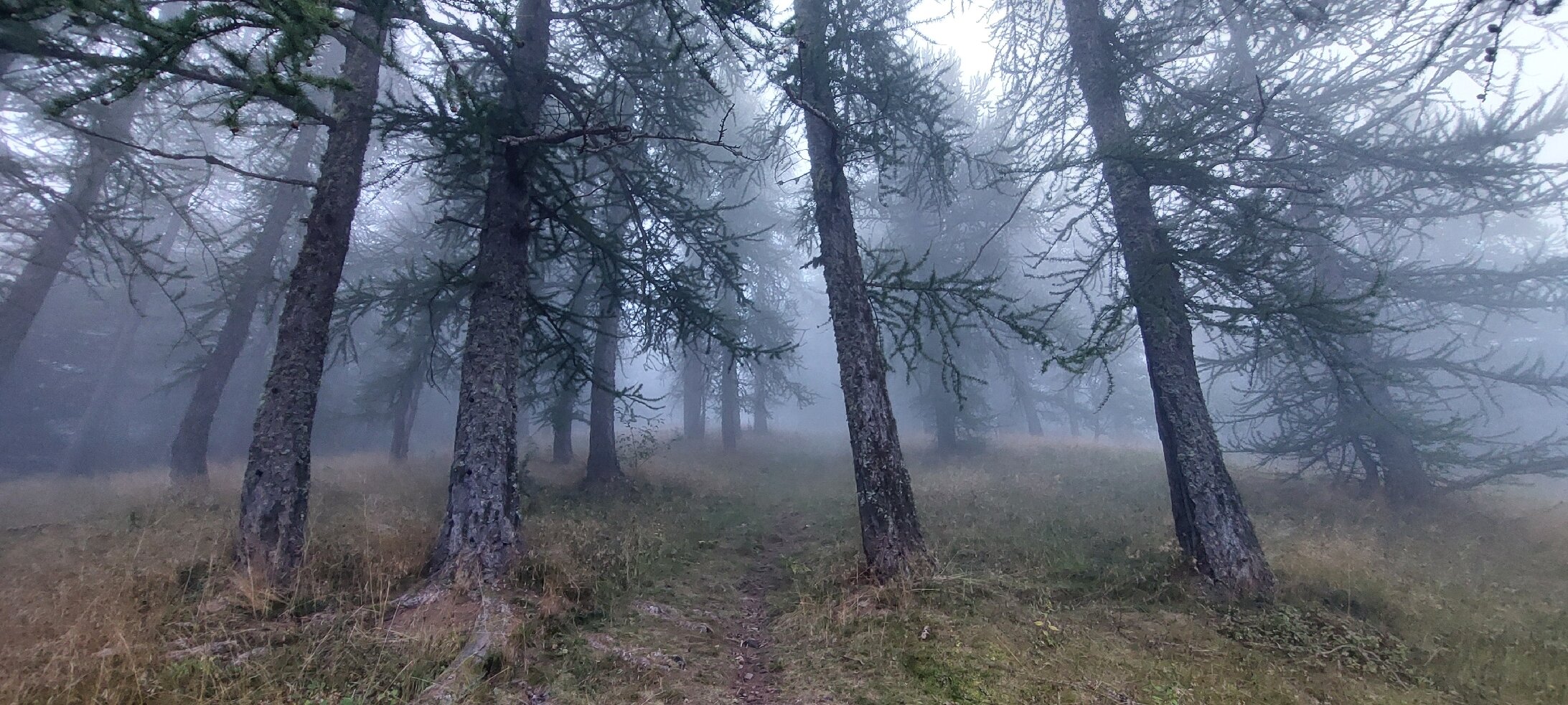 Rifugio F. Allavena-官方