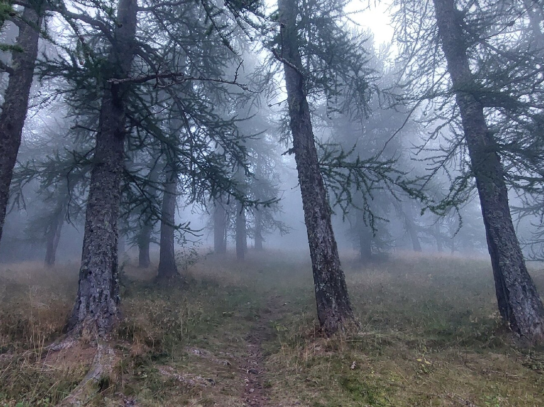 Rifugio F. Allavena主图