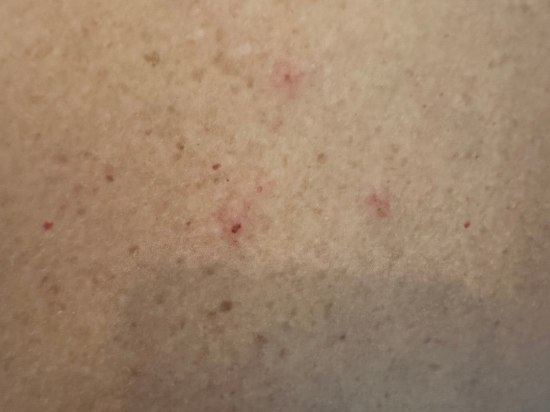 SpringHill Suites by Marriott Wenatchee主图