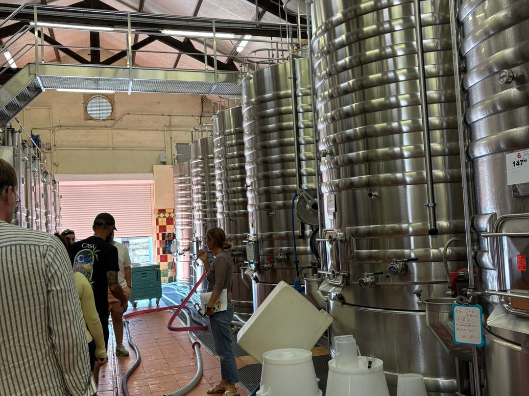 Domaine des Tournels-Ramatuelle必去景点