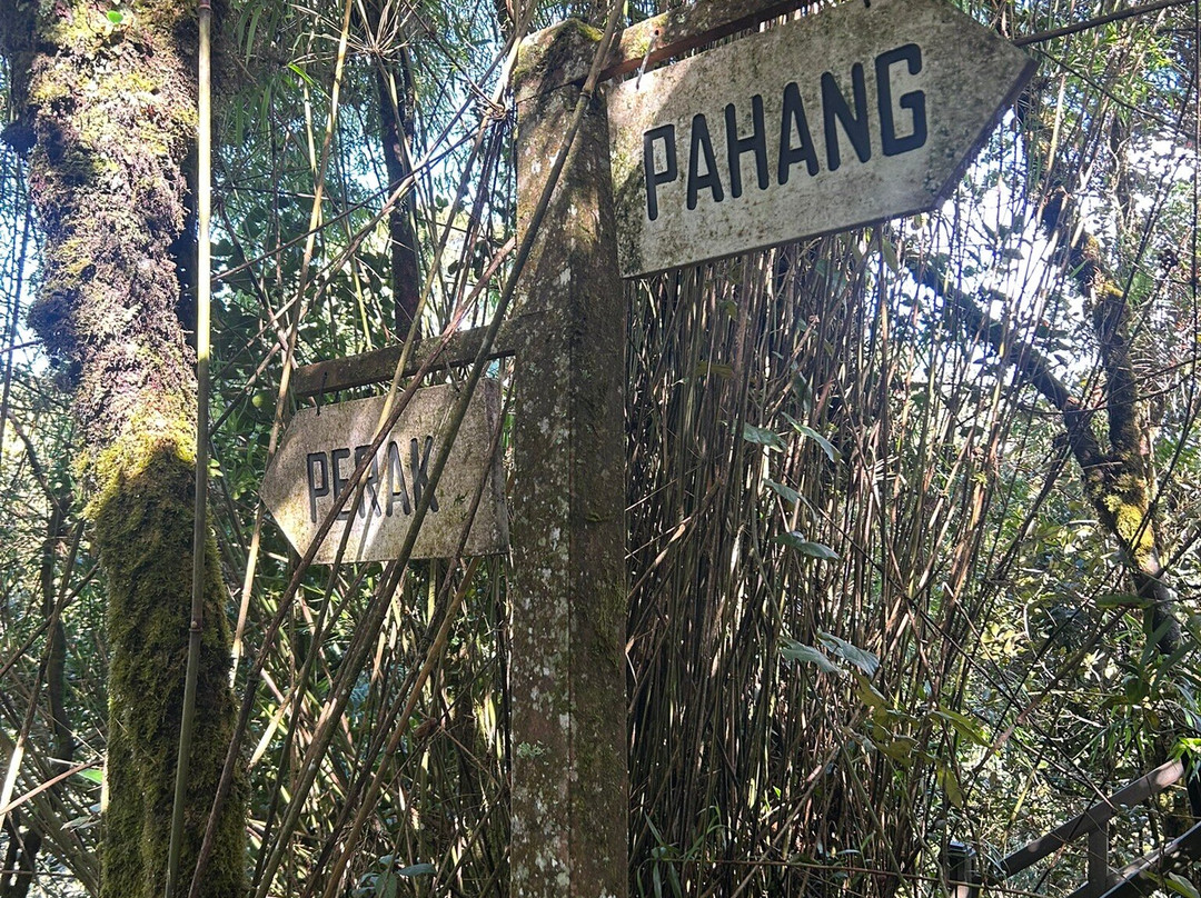 Discover Camerons-丹那拉塔必去景点