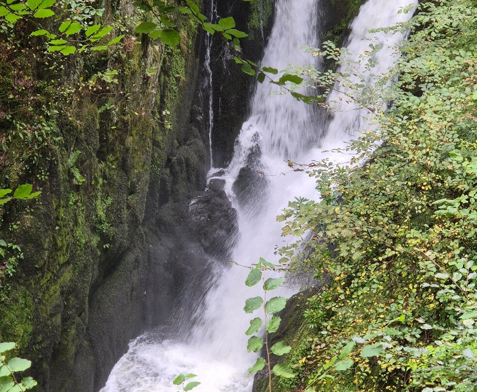 Stock Ghyll Force-安布赛德必去景点