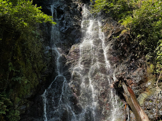 vBatumi-巴统必去景点