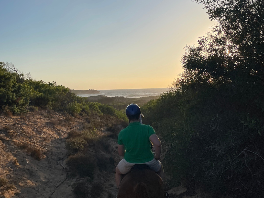 Tre Stelle Sa Mandra-阿尔盖罗必去景点