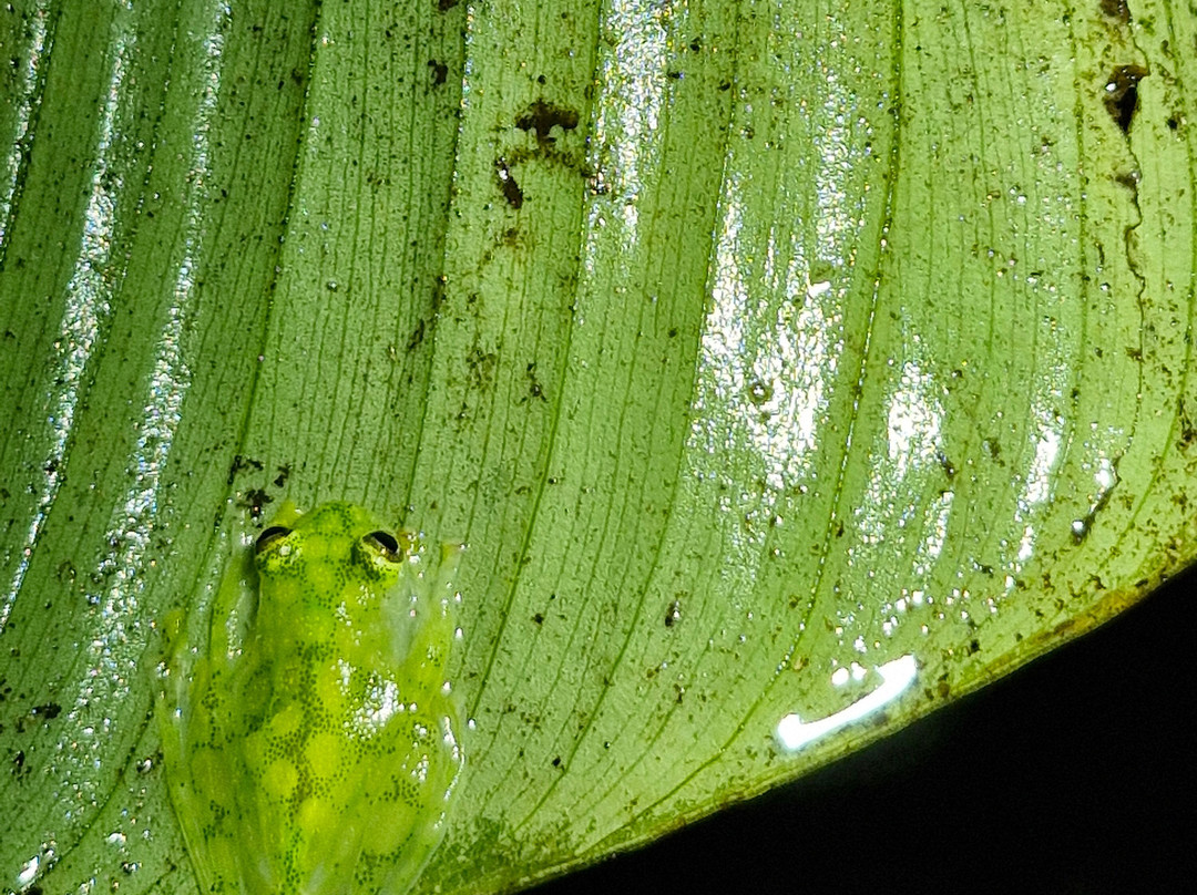 Rancho Tropical-希门尼斯港必去景点