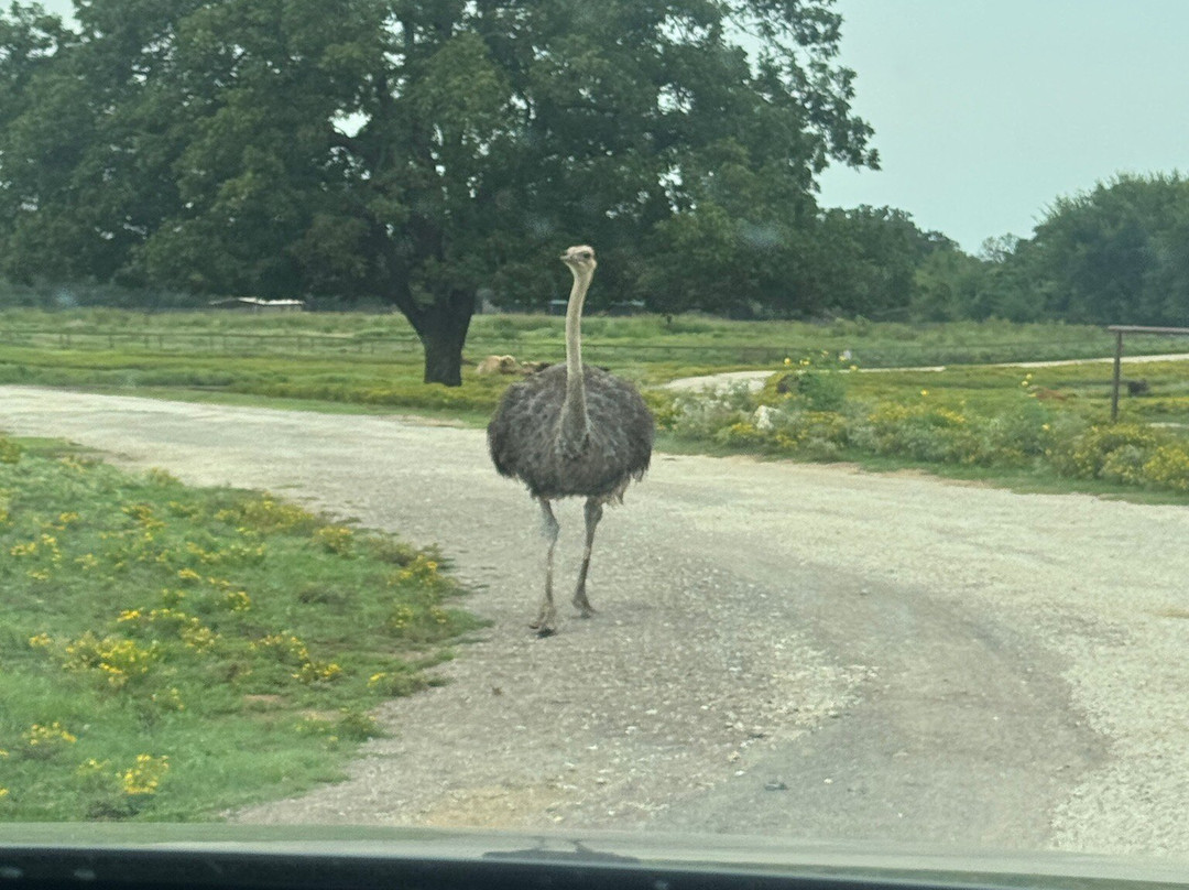 Arbuckle Wilderness-Davis必去景点