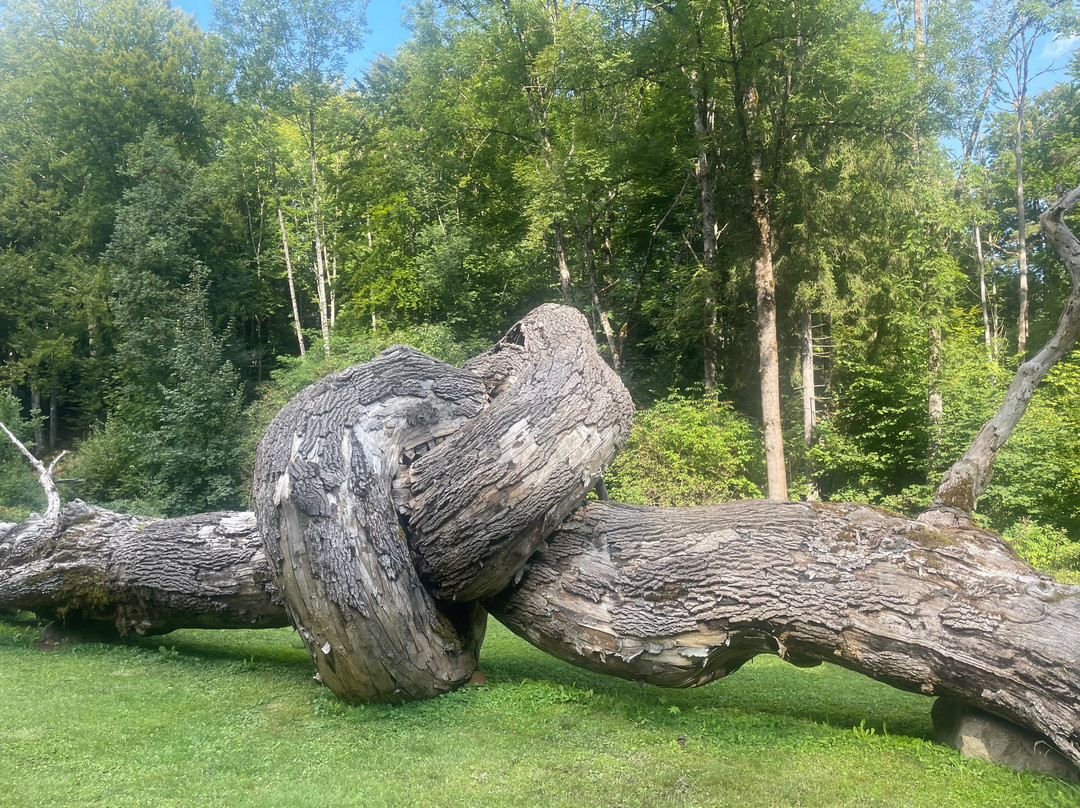 Elefante Viaggi-Gragnano必去景点