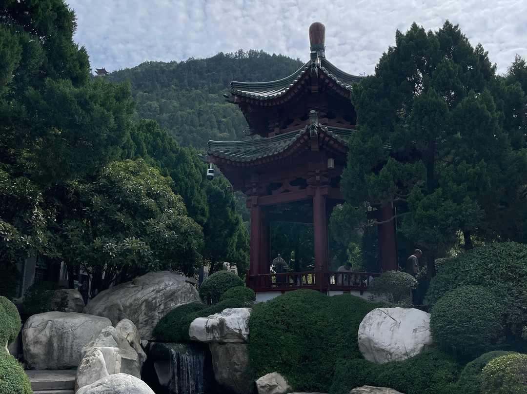 Mary’s Xian Tours-西安市必去景点