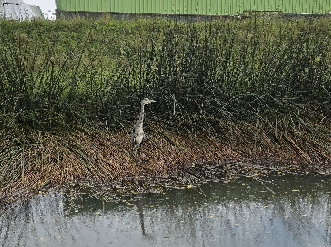 Burton Waters Experiences-林肯必去景点