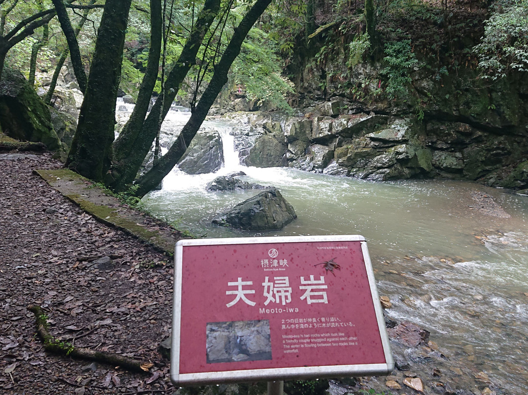 Settsukyo Park-高规市必去景点