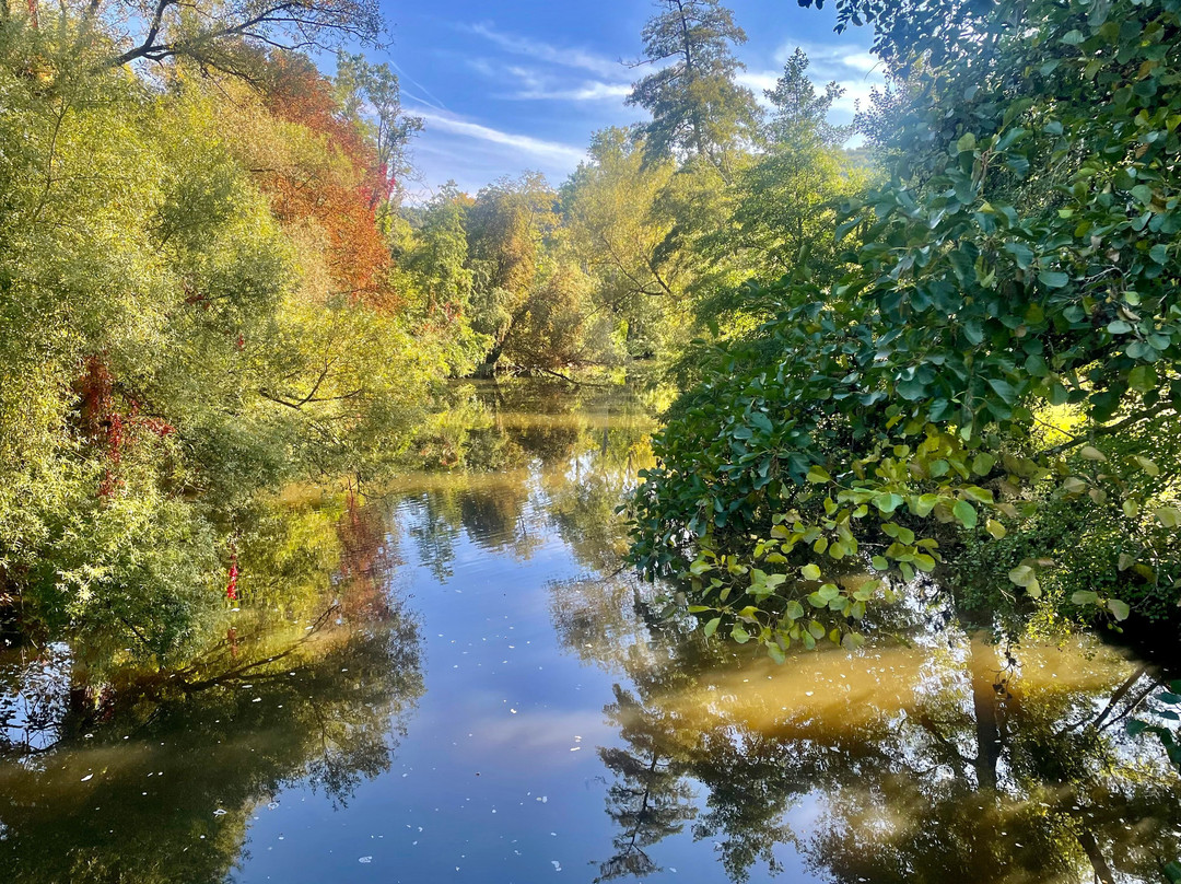 Altstadt Meisenheim-Meisenheim必去景点