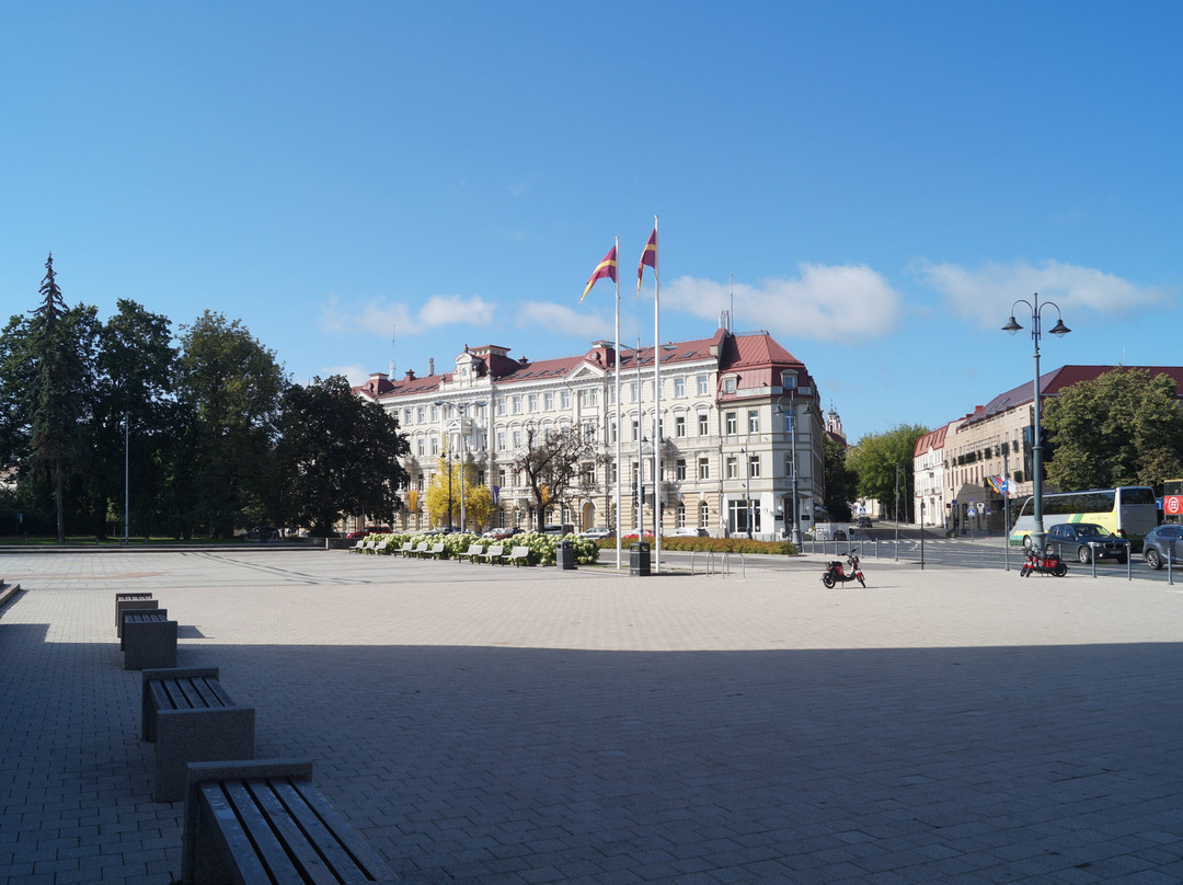 Vilnius Cathedral Square-维尔纽斯必去景点