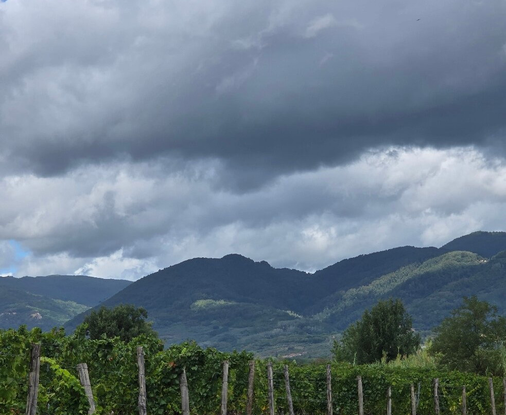 Fattoria Il Poggio-Montecarlo必去景点