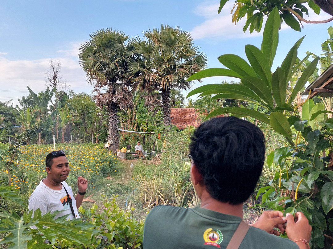 Munduk Udeng- Udengan-布莱伦必去景点