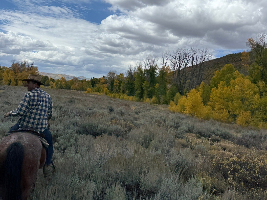 North Forty Escapes-Oakley必去景点