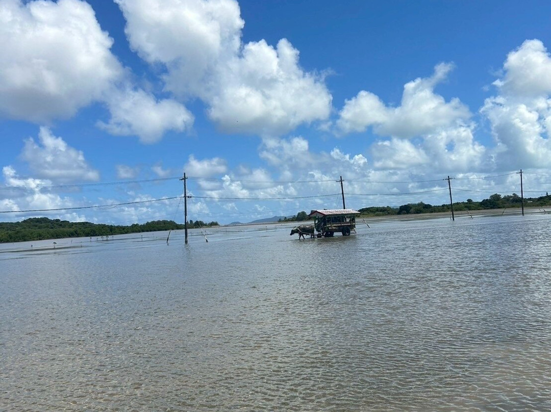 Yubujima Suigyusha-竹富町由布岛必去景点