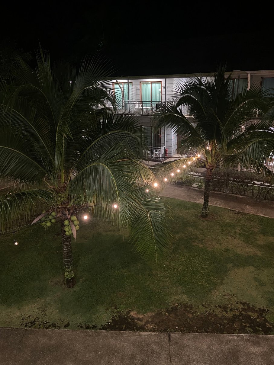 珍拉丁皇家朱兰别墅-旅行者