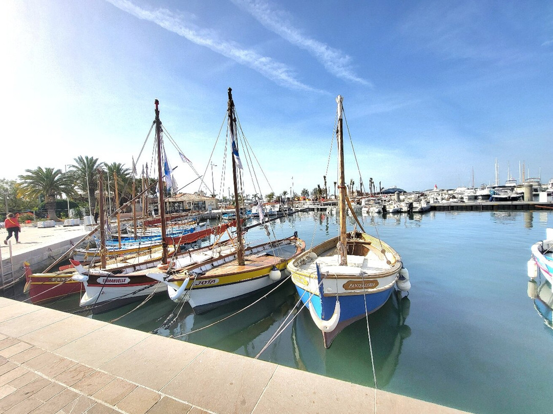 Port Sanary Sur Mer-滨海萨纳里必去景点