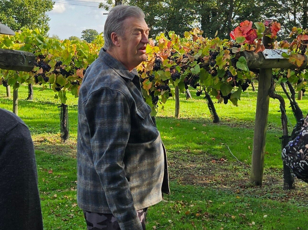 Shawsgate Vineyard-Framlingham必去景点