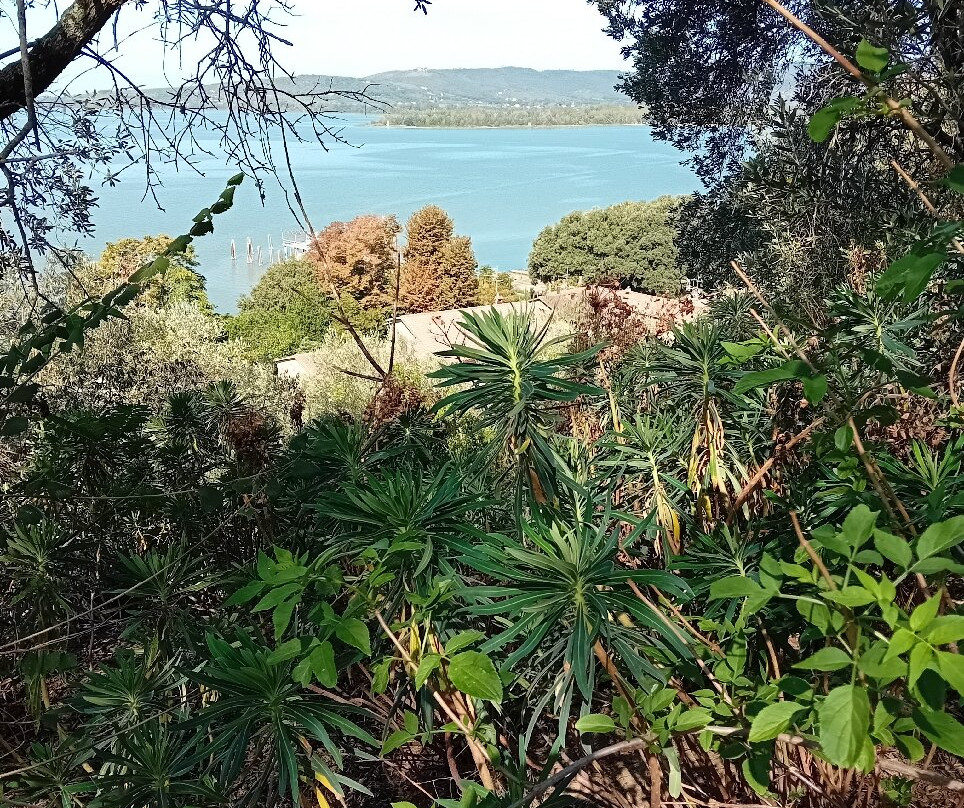 Isola Maggiore-Tuoro sul Trasimeno必去景点