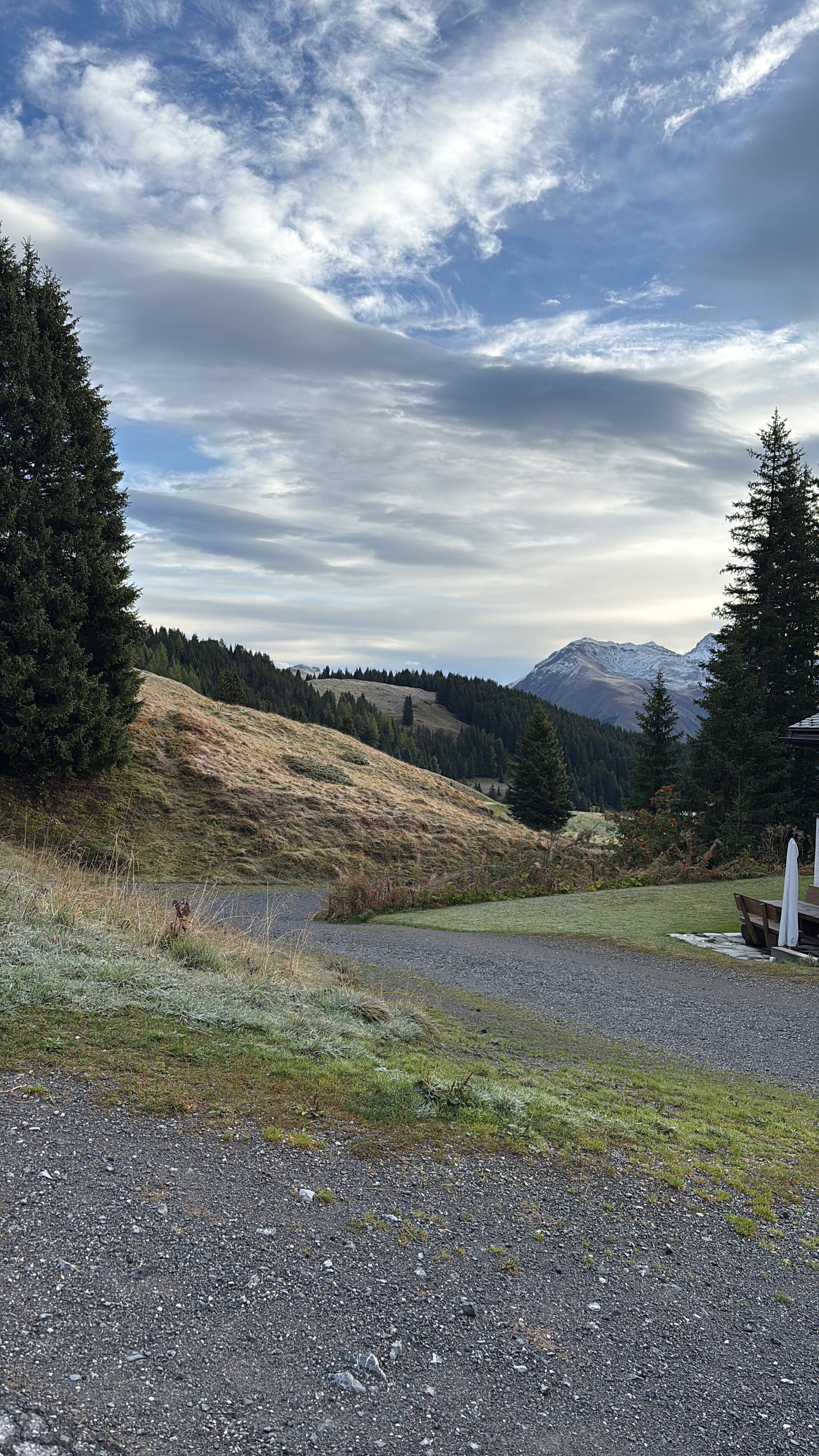 Hotel Prätschli-官方