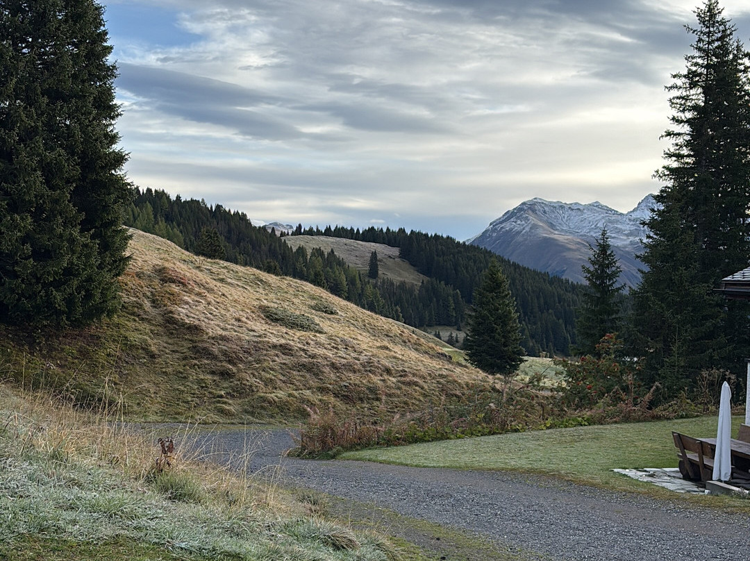 Hotel Prätschli主图