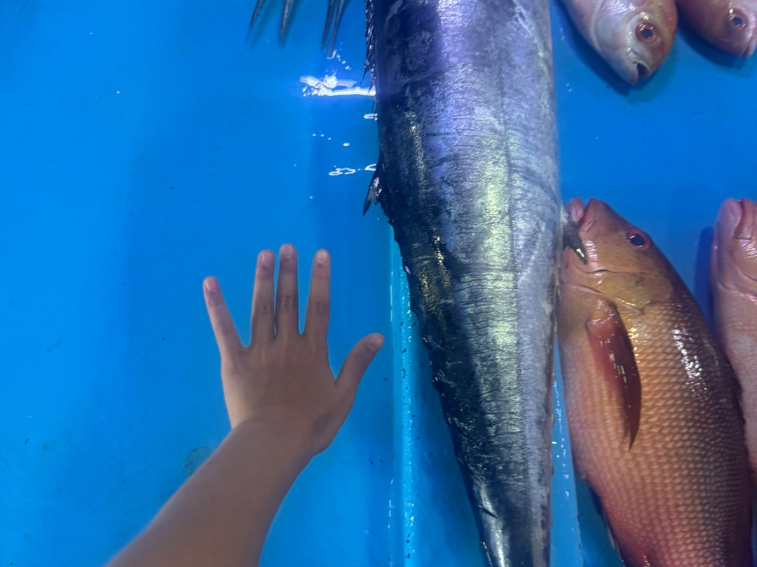 FollowMeToMaldives-马累必去景点