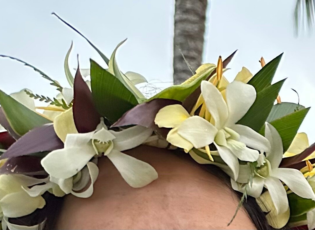 Common Ground Kauai-基拉韦厄必去景点