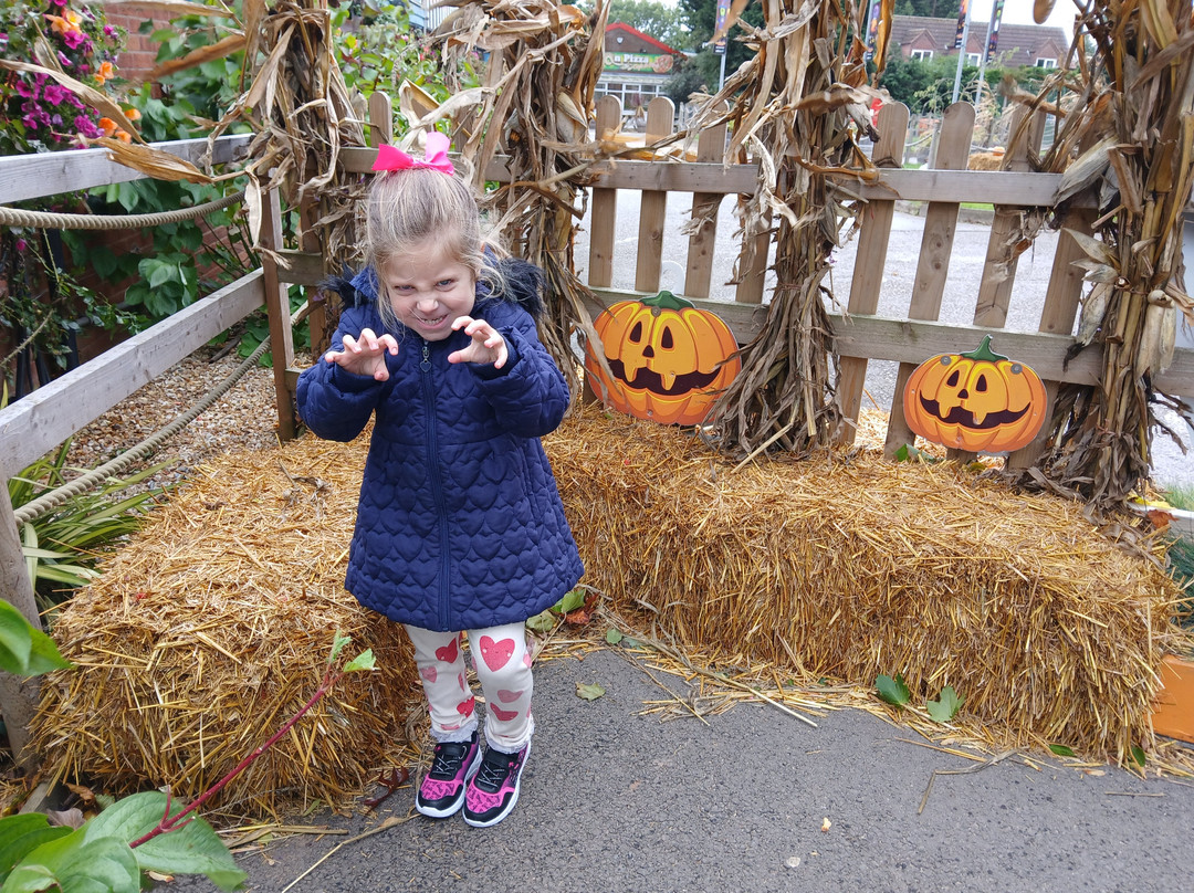 Robin Hoods Wheelgate Park-Farnsfield必去景点