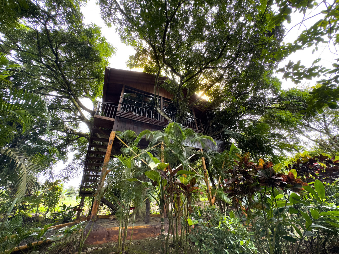 Heliconias Nature Inn & Hot Springs主图