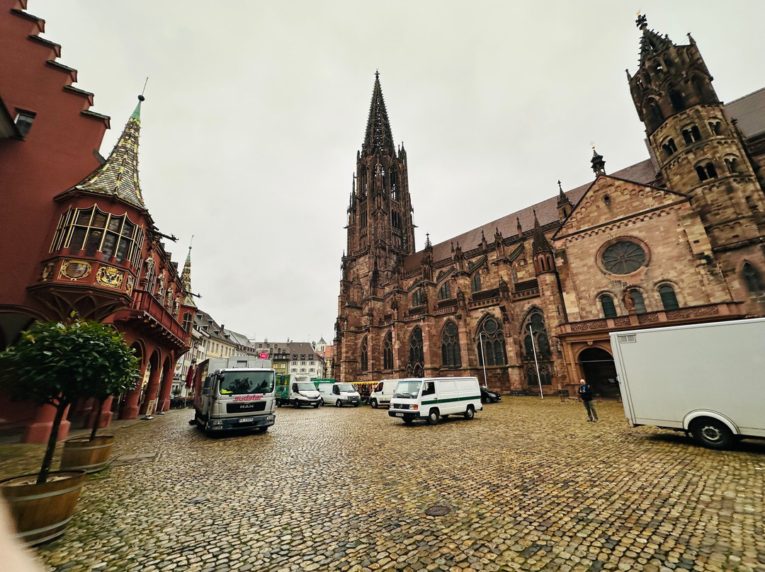 Münsterplatz-佛莱堡必去景点