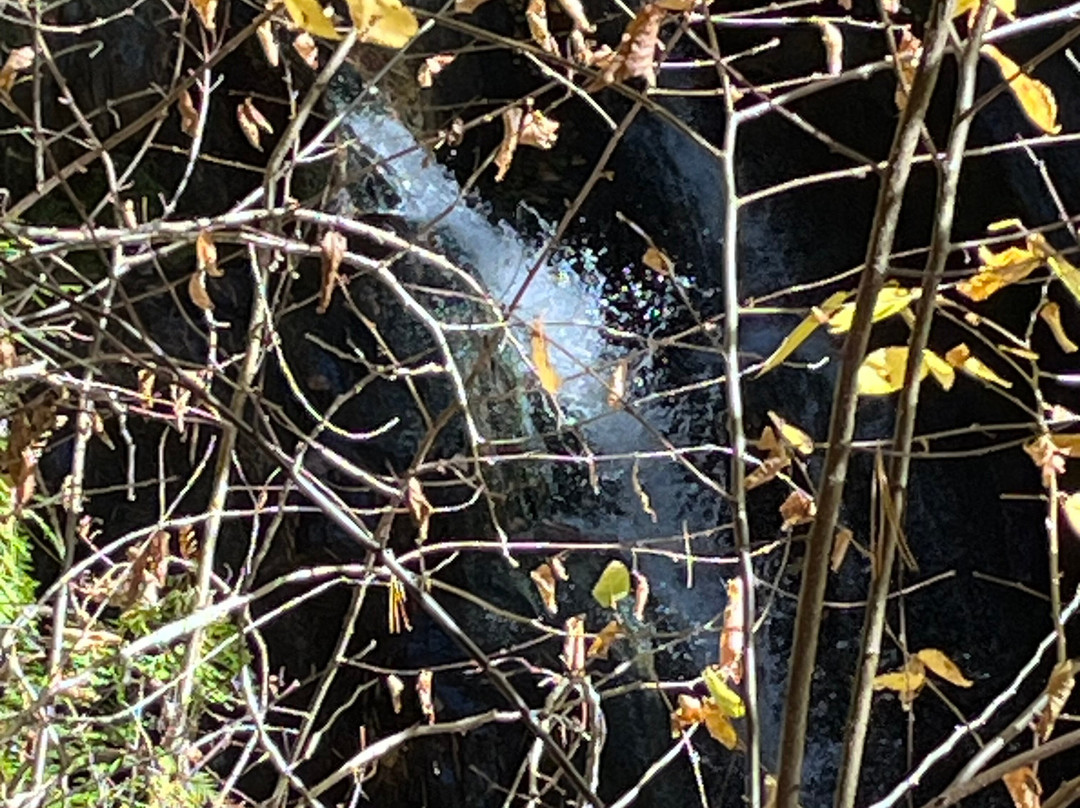 Screw Auger Falls-Newry必去景点