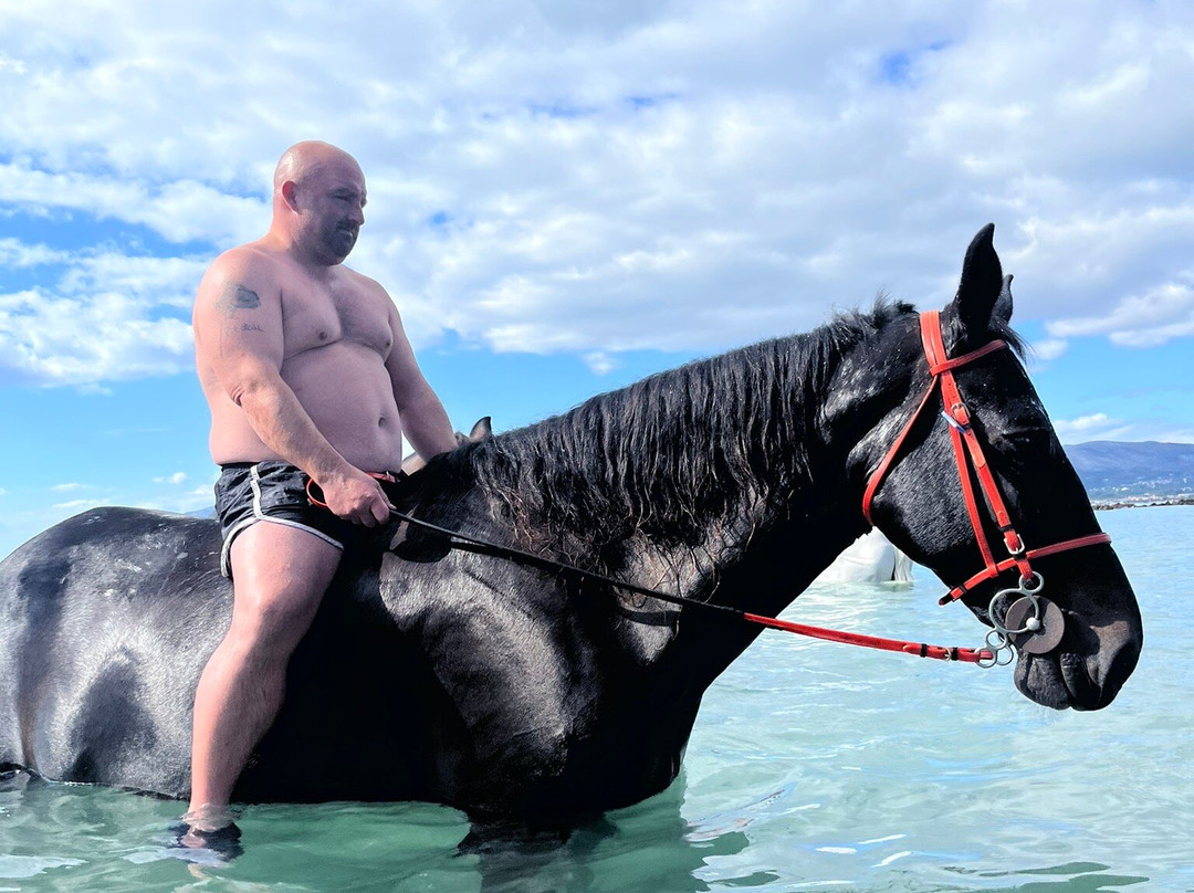 Laganas Horse Riding Center-扎金索斯必去景点