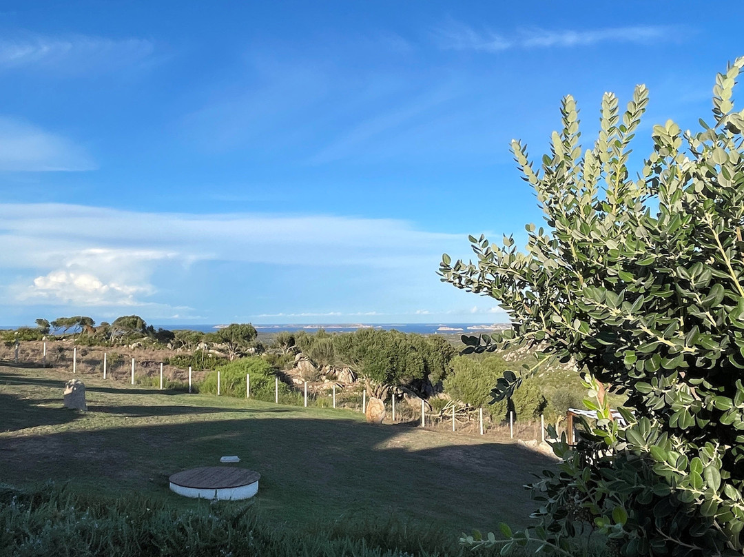 La Casa di Memmi Suites & Rooms主图