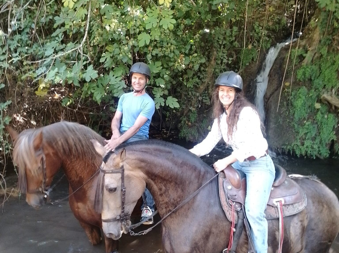 Entre Toros y Caballos-科尔多瓦必去景点