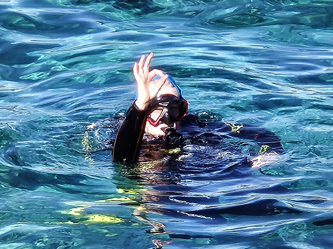 Starfish Diving School-圣朱利安斯必去景点